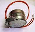 Rapidprint Motor
